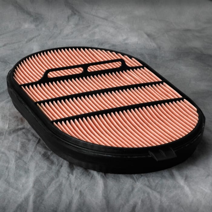 Donaldson P607557 Air Filter, Safety Obround